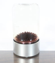 SPIKE ferrofluid display (Red ferrofluid)