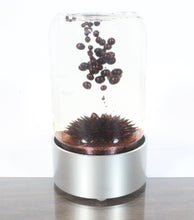 SPIKE ferrofluid display (Red ferrofluid)