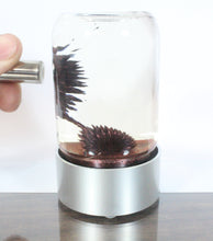 SPIKE ferrofluid display (Red ferrofluid)